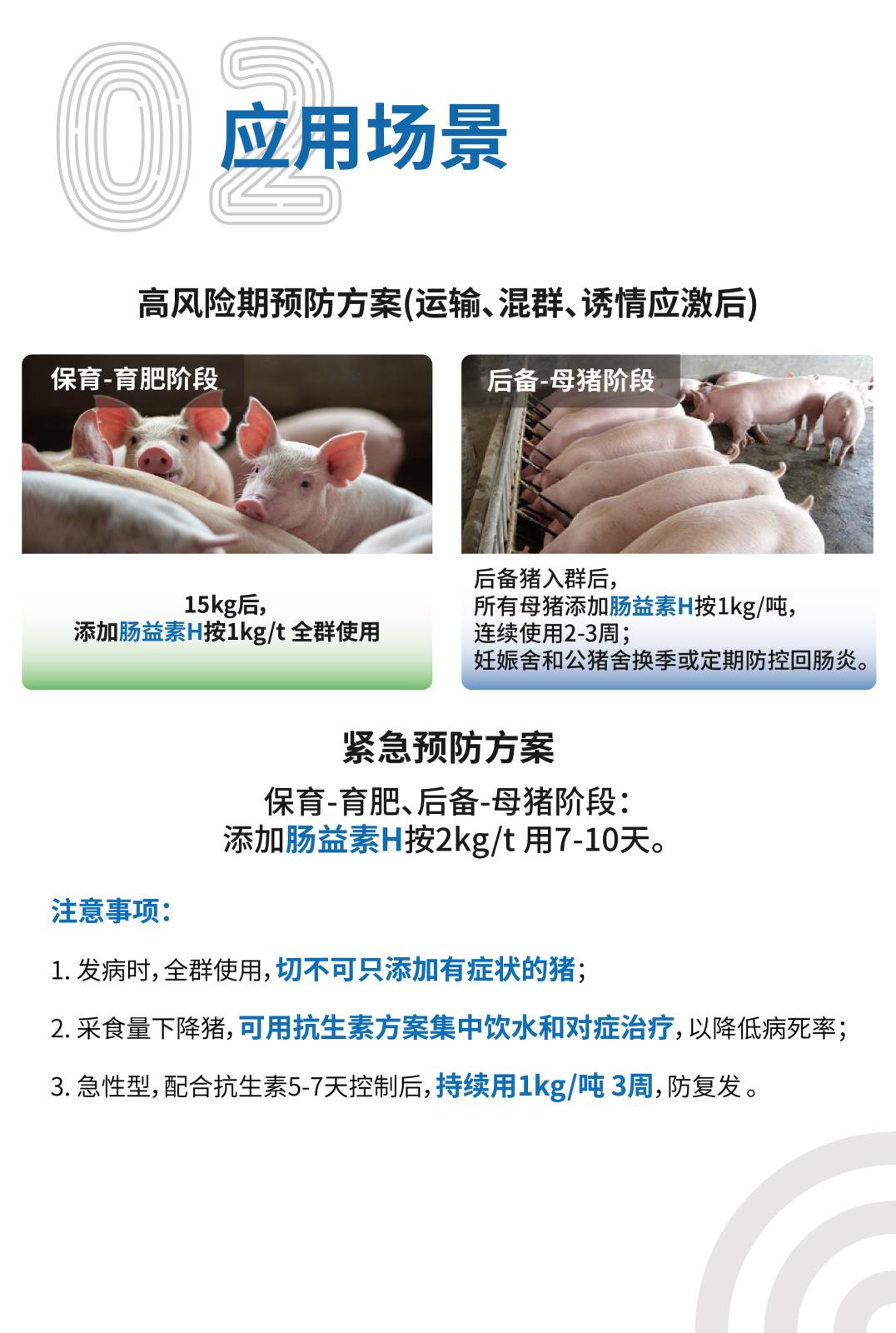 腸益素H網(wǎng)站介紹長圖_畫板-1_畫板-1_03.jpg