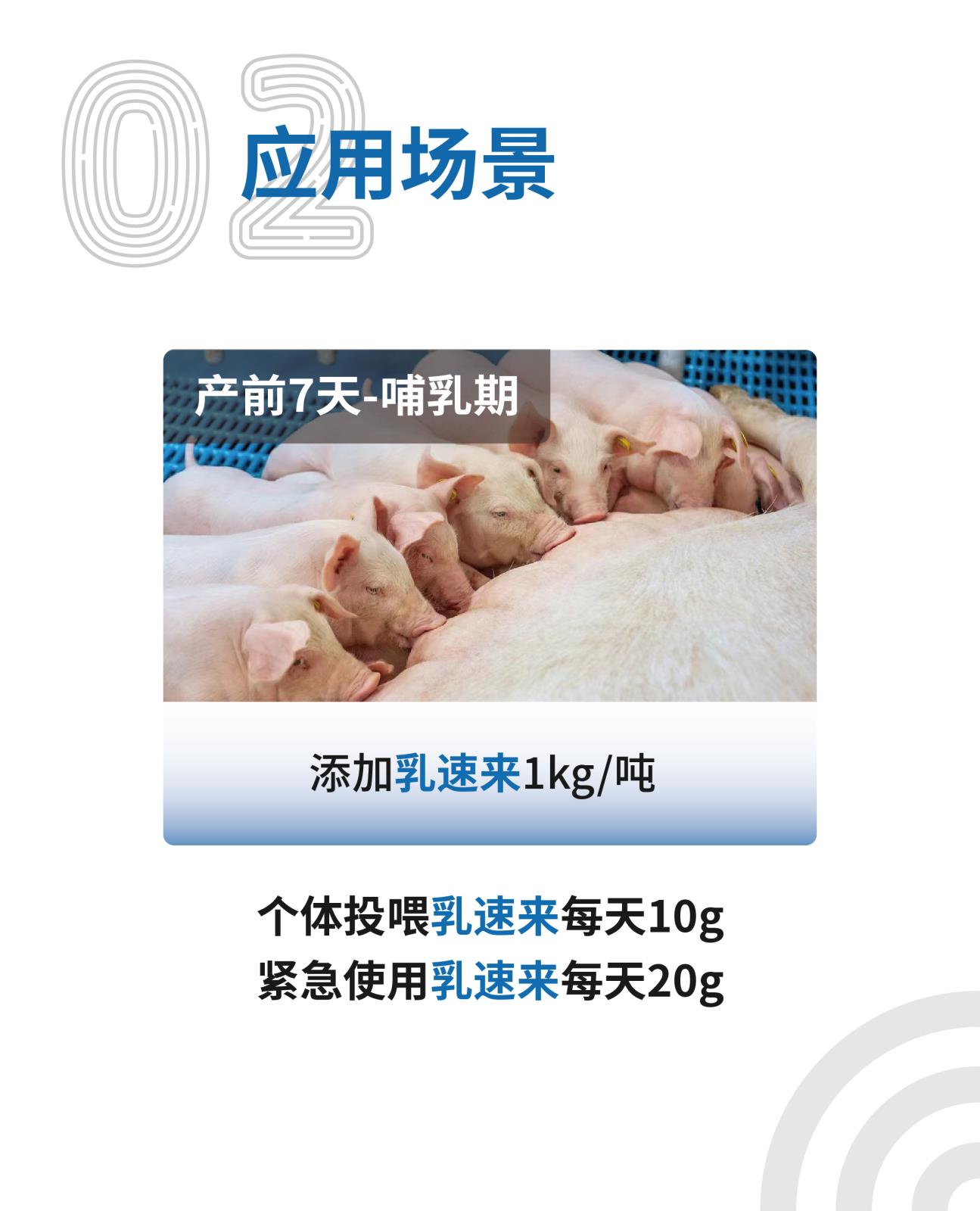 乳速來網(wǎng)站介紹長(zhǎng)圖_畫板-1_03.jpg